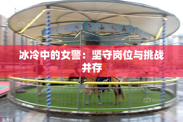 冰冷中的女警：坚守岗位与挑战并存
