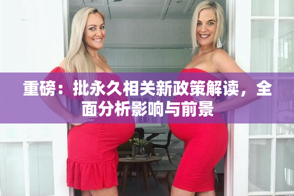 重磅：批永久相关新政策解读，全面分析影响与前景