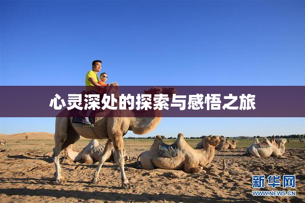 心灵深处的探索与感悟之旅