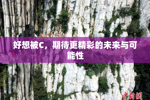 好想被C，期待更精彩的未来与可能性