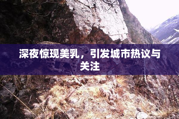 深夜惊现美乳，引发城市热议与关注