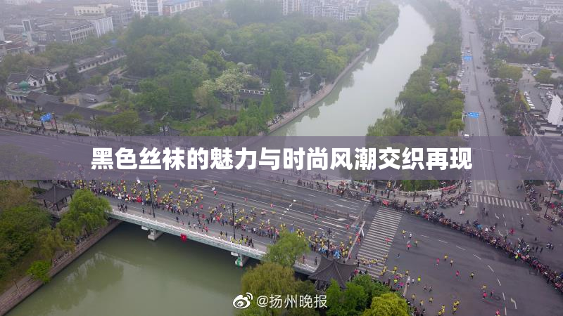 黑色丝袜的魅力与时尚风潮交织再现