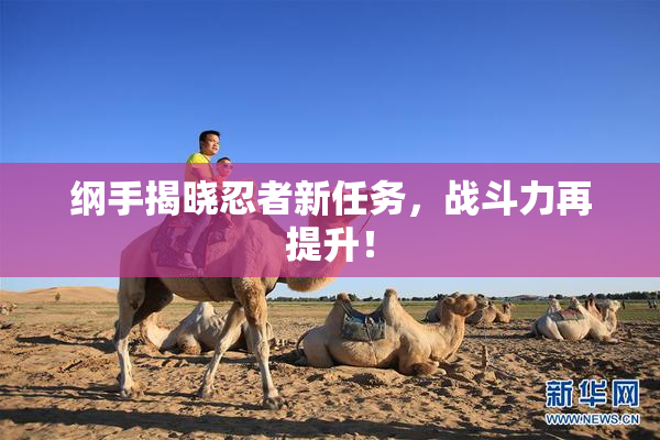 纲手揭晓忍者新任务，战斗力再提升！