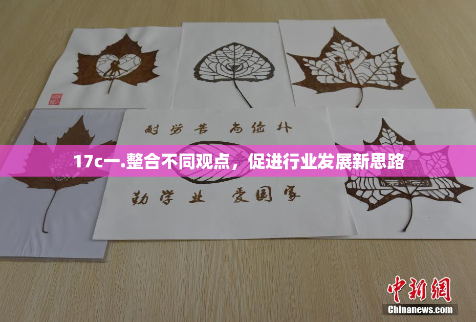 17c一.整合不同观点，促进行业发展新思路