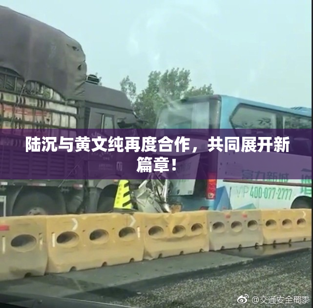 陆沉与黄文纯再度合作，共同展开新篇章！