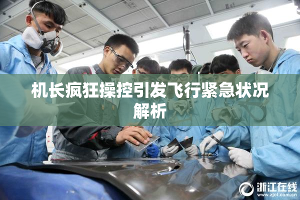 机长疯狂操控引发飞行紧急状况解析