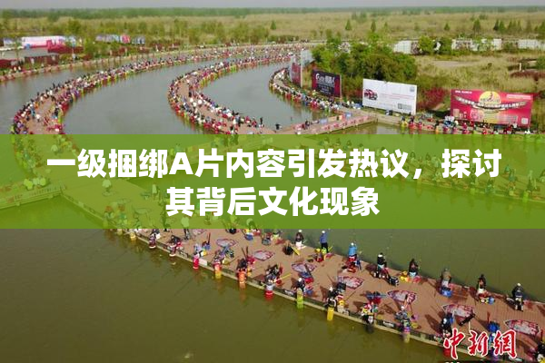 一级捆绑A片内容引发热议，探讨其背后文化现象
