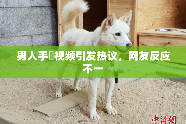 男人手婬视频引发热议，网友反应不一