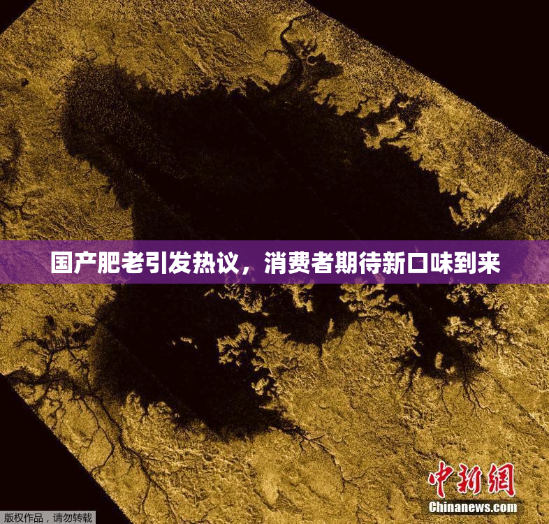 国产肥老引发热议，消费者期待新口味到来