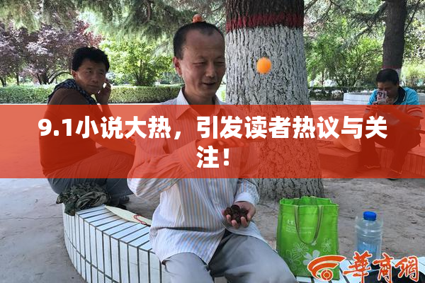 9.1小说大热，引发读者热议与关注！