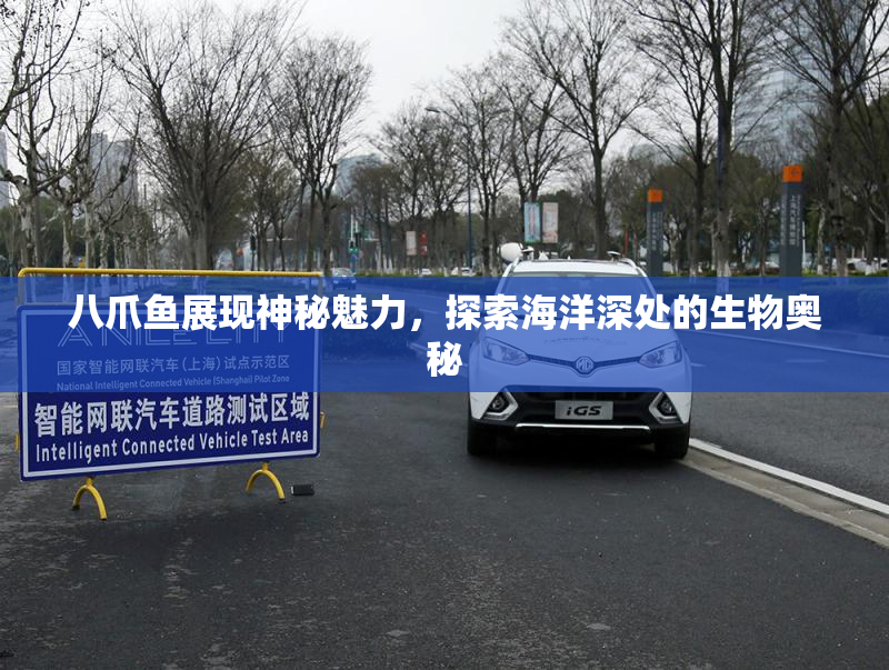 八爪鱼展现神秘魅力，探索海洋深处的生物奥秘