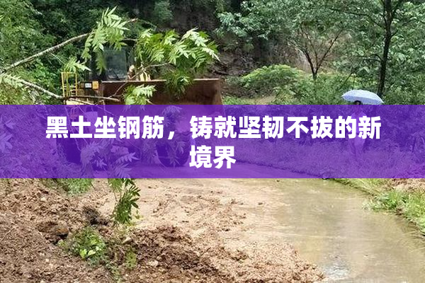 黑土坐钢筋，铸就坚韧不拔的新境界
