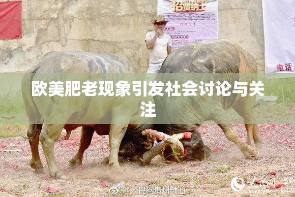 欧美肥老现象引发社会讨论与关注