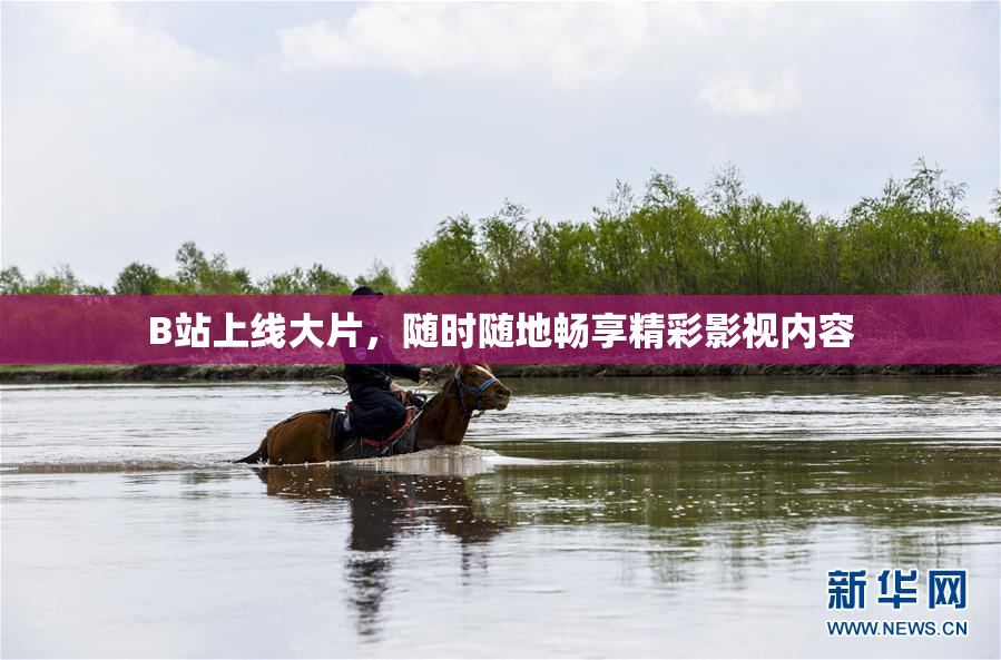 B站上线大片，随时随地畅享精彩影视内容
