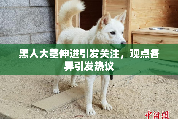 黑人大茎伸进引发关注，观点各异引发热议