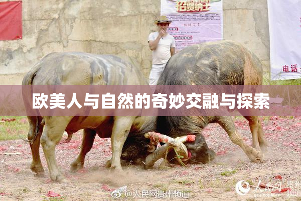 欧美人与自然的奇妙交融与探索
