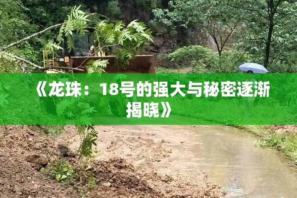 《龙珠：18号的强大与秘密逐渐揭晓》