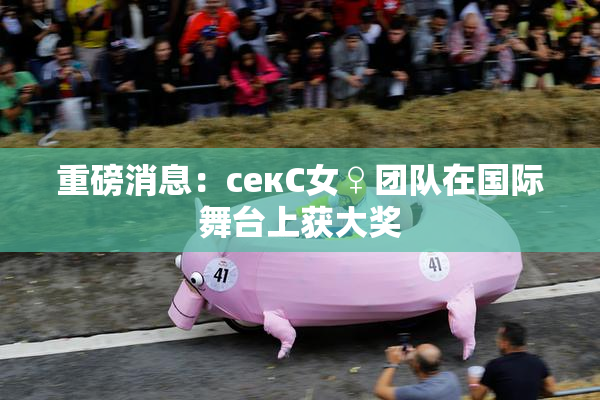 重磅消息：секС女♀团队在国际舞台上获大奖