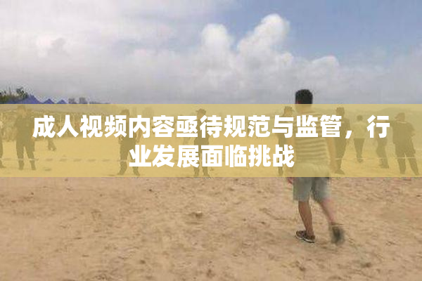 成人视频内容亟待规范与监管，行业发展面临挑战