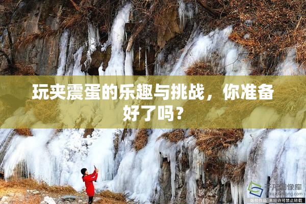 玩夹震蛋的乐趣与挑战，你准备好了吗？