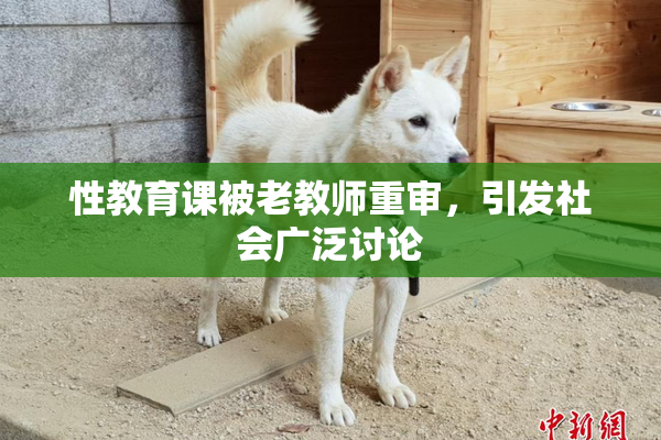 性教育课被老教师重审，引发社会广泛讨论