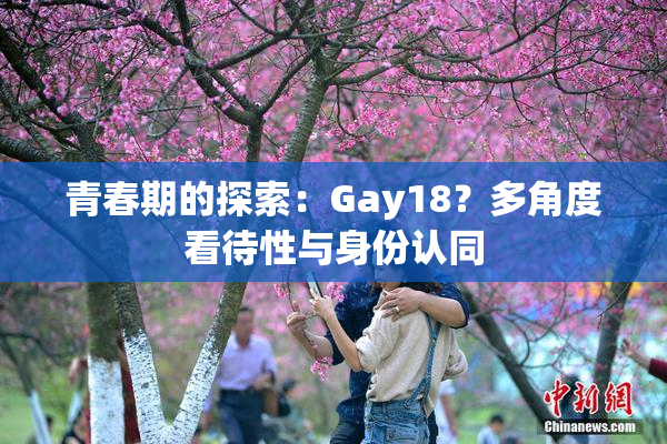 青春期的探索：Gay18？多角度看待性与身份认同