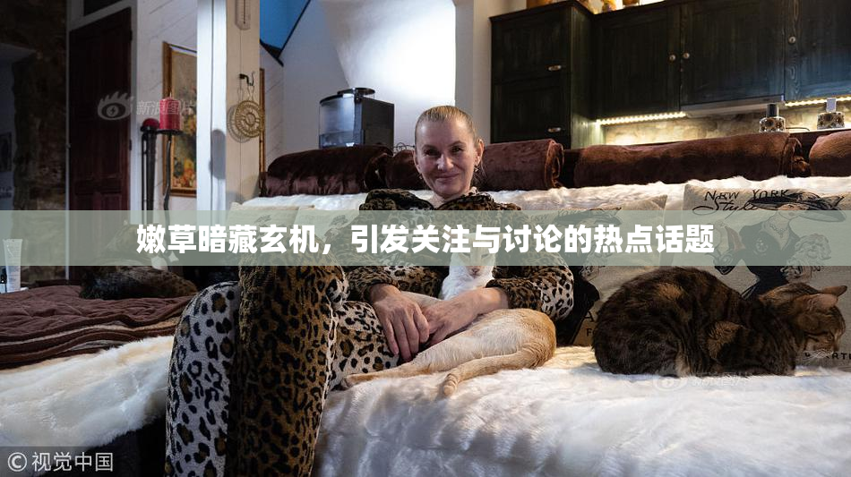 嫩草暗藏玄机，引发关注与讨论的热点话题