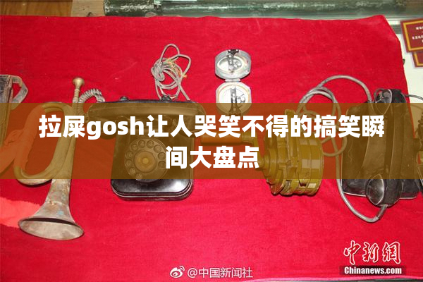 拉屎gosh让人哭笑不得的搞笑瞬间大盘点