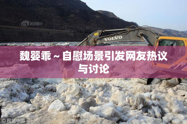 魏婴乖～自慰场景引发网友热议与讨论