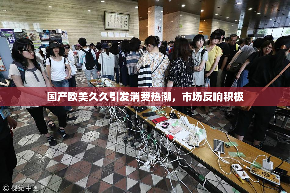 国产欧美久久引发消费热潮，市场反响积极