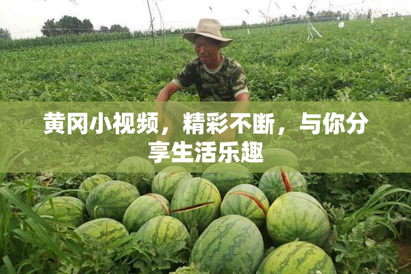 黄冈小视频，精彩不断，与你分享生活乐趣