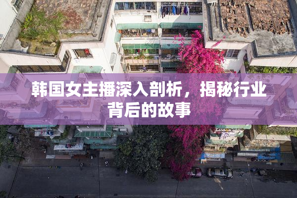 韩国女主播深入剖析，揭秘行业背后的故事
