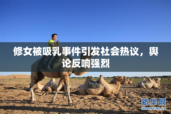 修女被吸乳事件引发社会热议，舆论反响强烈