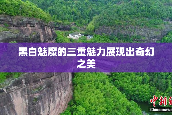 黑白魅魔的三重魅力展现出奇幻之美