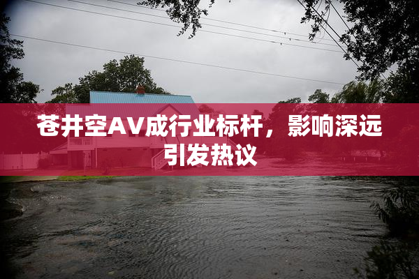 苍井空AV成行业标杆，影响深远引发热议