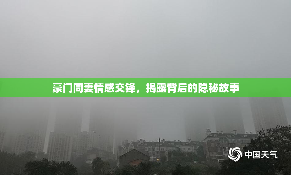豪门同妻情感交锋，揭露背后的隐秘故事