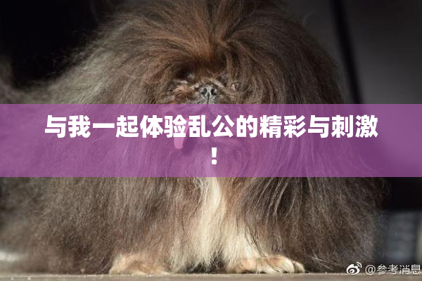 与我一起体验乱公的精彩与刺激！