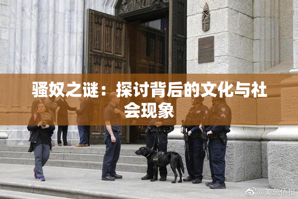 骚奴之谜：探讨背后的文化与社会现象