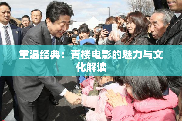重温经典：青楼电影的魅力与文化解读