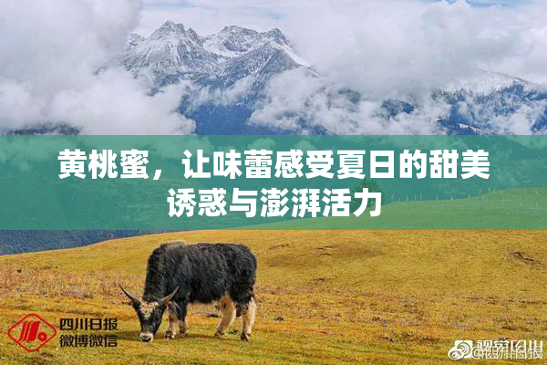 黄桃蜜，让味蕾感受夏日的甜美诱惑与澎湃活力