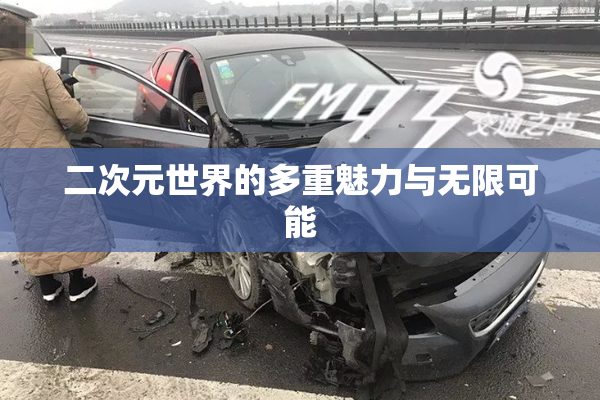 二次元世界的多重魅力与无限可能