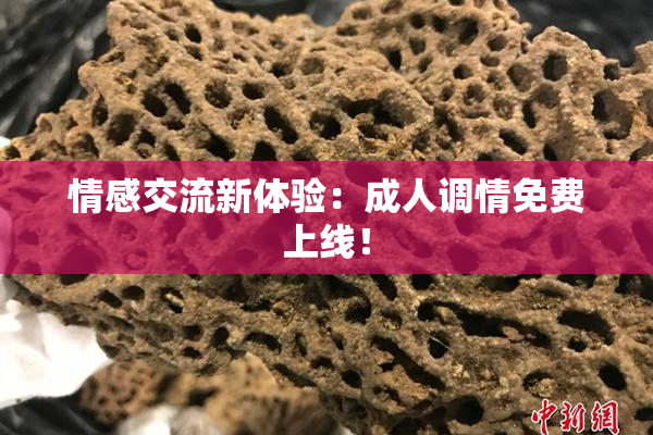 情感交流新体验：成人调情免费上线！