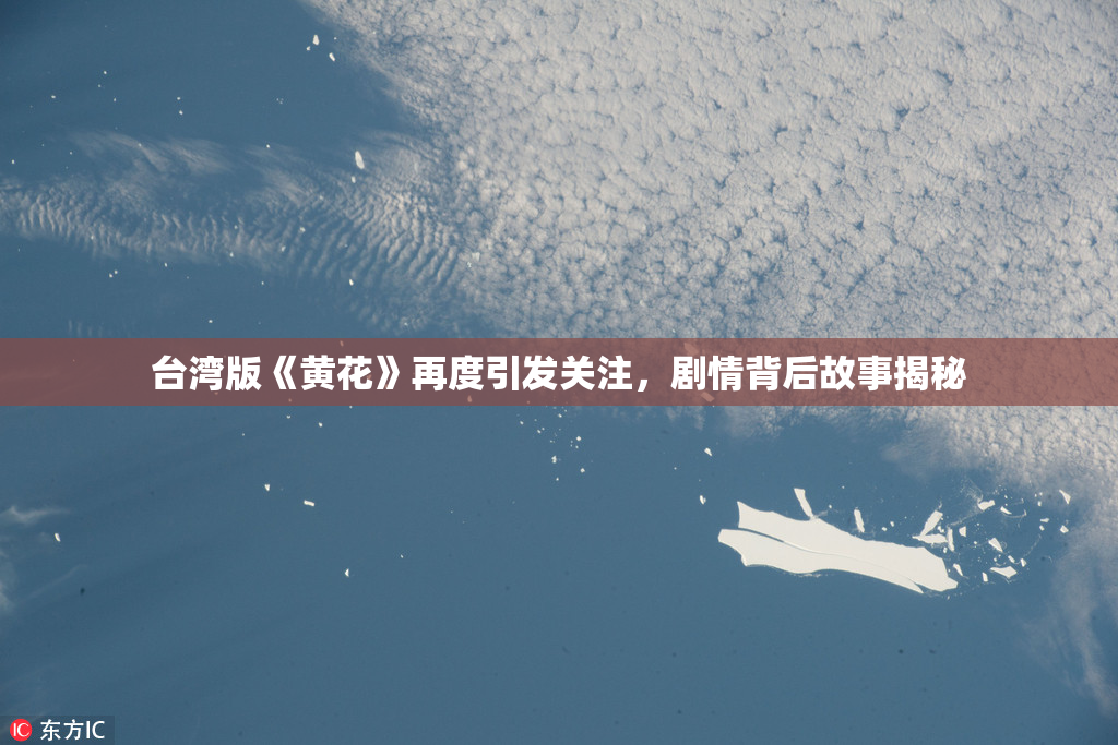 台湾版《黄花》再度引发关注，剧情背后故事揭秘