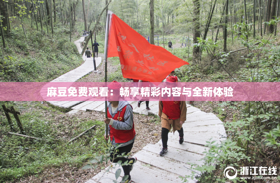 麻豆免费观看：畅享精彩内容与全新体验