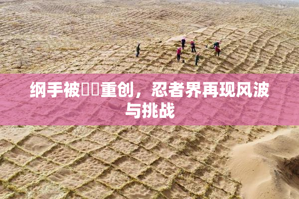 纲手被❌‌重创，忍者界再现风波与挑战