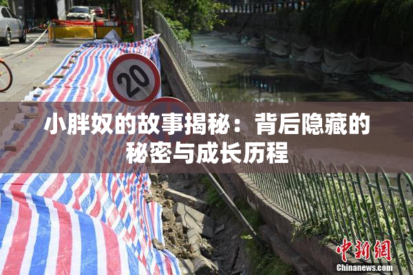 小胖奴的故事揭秘：背后隐藏的秘密与成长历程