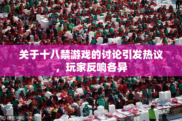 关于十八禁游戏的讨论引发热议，玩家反响各异