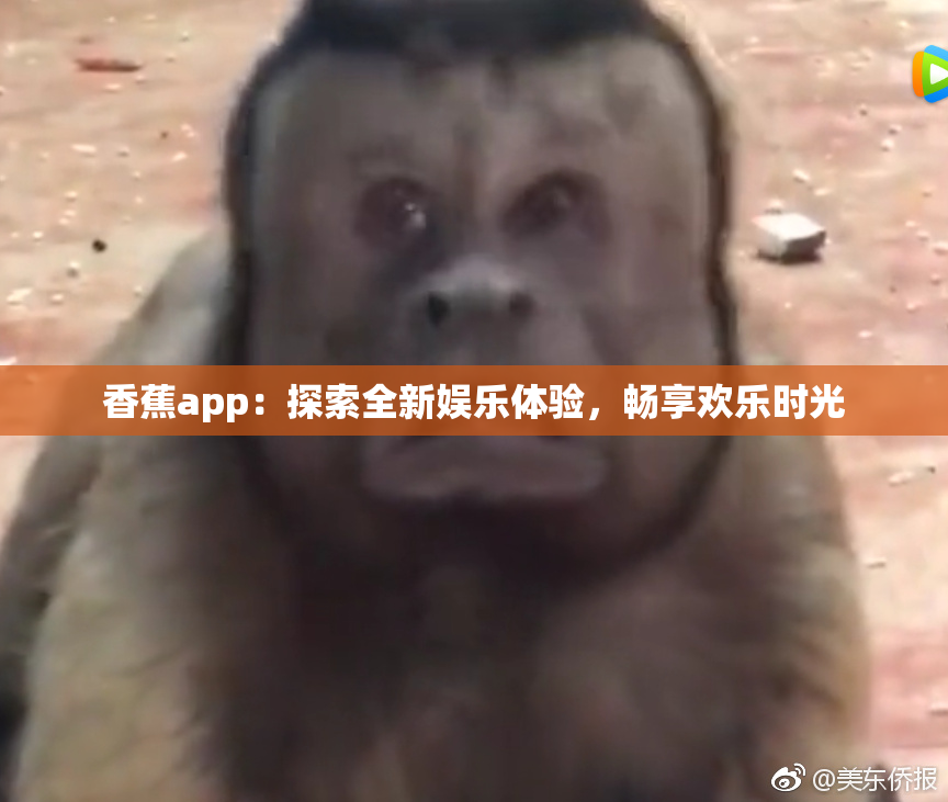 香蕉app：探索全新娱乐体验，畅享欢乐时光