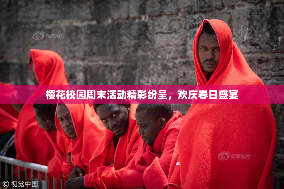 樱花校园周末活动精彩纷呈，欢庆春日盛宴