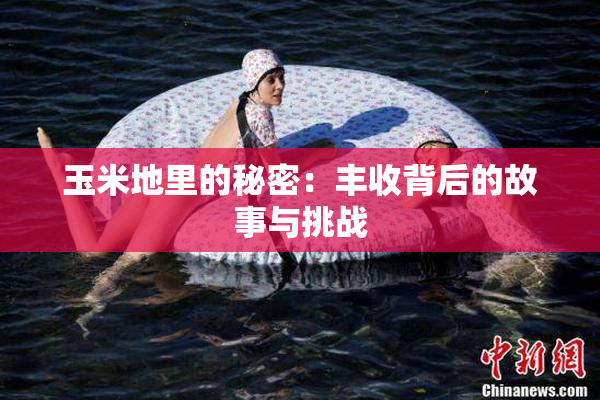 玉米地里的秘密：丰收背后的故事与挑战